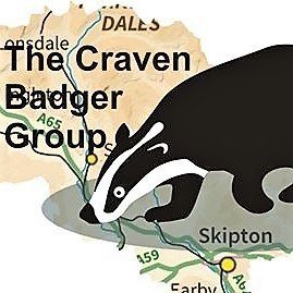 Small but friendly badger group covering the Craven area in N Yorkshire. https://t.co/MbMiC1LW36 Help protect badgers: https://t.co/PAuuI4fhHy