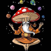 Gaetano Lardieri (@entheog108) 's Twitter Profile