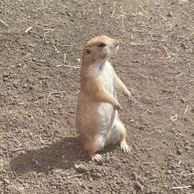 simple_T_plan's profile picture. 暇人。情報収集ど素人。小企業ワーカー。