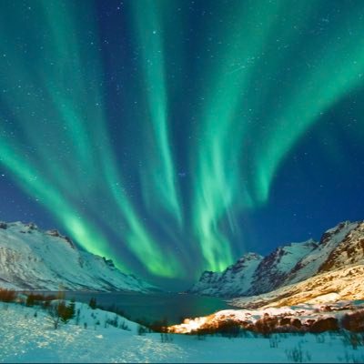 Michael95316188's profile picture. Here for the news.