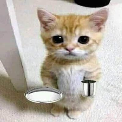 pvohra320's profile picture. Just doing the best I can..