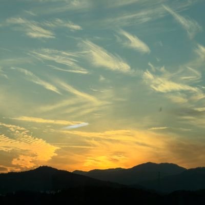 yeong__93's profile picture. 