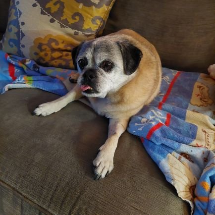 biz9301's profile picture. Wife, proud mom.  Education, child and equity advocate.