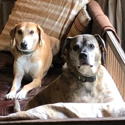 w_koerner's profile picture. 