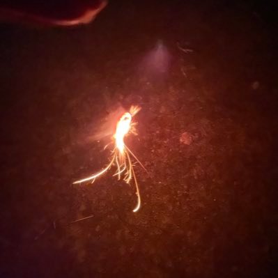 posoposo555's profile picture. 幸せな時は不思議な力に守られてるとも気づかずに けどもう一回と願うならばそれは複雑なあやとりのよう