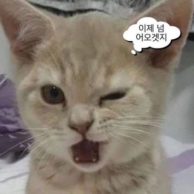 fan account/20⬆️성인/{내스급/전독시/데못죽/망아되/이착헌/양크/괴출/니지en • kr(셀렌,쿄,헥스X)/쇼토/쿠로노와/로후마오/ㆍㆍㆍ } 네웹 컨텐츠 홍보계 블락
