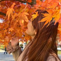 のぞみ@ヨーロッパと着物🇳🇱 (@je_suis_nozomi) Twitter profile photo