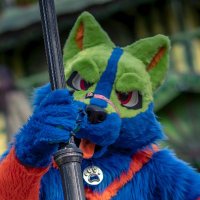 Tiku (@tikufarkas) 's Twitter Profile