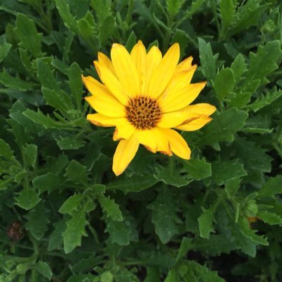 ddboy7758's profile picture. 