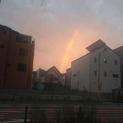 ijongho74496735's profile picture. 