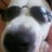 luca_cicinelli's profile image