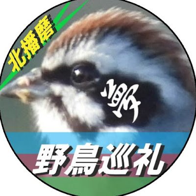 birds_kitahari Profile Picture