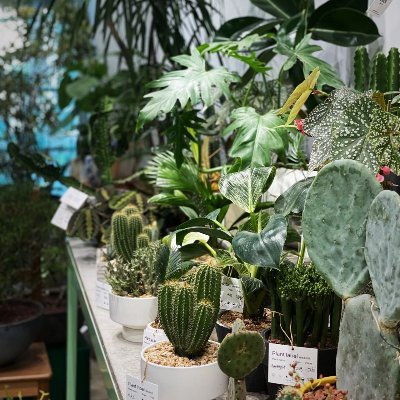 NamedFe's profile picture. 是谁的白月光