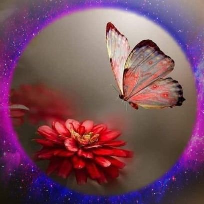 YyingLovePigPig's profile picture. หยักจิไปปากซอย❣️702