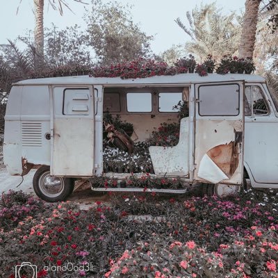 SaadM67726194's profile picture. عيش لنفسك