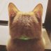 limited astrological (@laastrological) Twitter profile photo limited astrological (@laastrological) Twitter profile photo