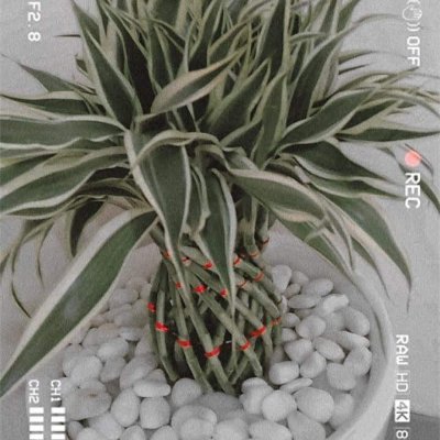 anggia_ea's profile picture. 