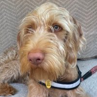 Lynn (@lynn06783085) 's Twitter Profile Photo Lynn (@lynn06783085) 's Twitter Profile Photo