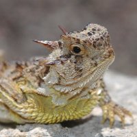 Jason (@jasonwilsonfl) 's Twitter Profile