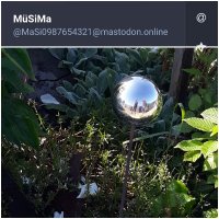 Frau Müller(@FrauMll50260758) 's Twitter Profile Photo