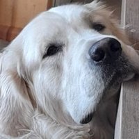 Nina (@ninasonneveld) 's Twitter Profile Photo Nina (@ninasonneveld) 's Twitter Profile Photo