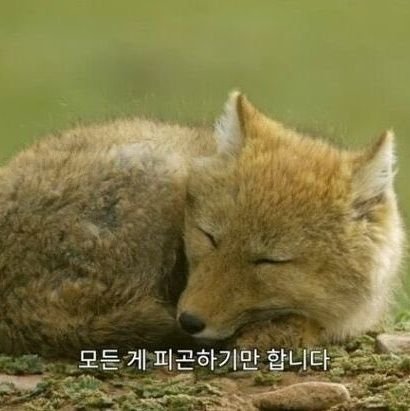 이응さんのプロフィール画像