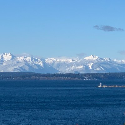 xinrS's profile picture. 