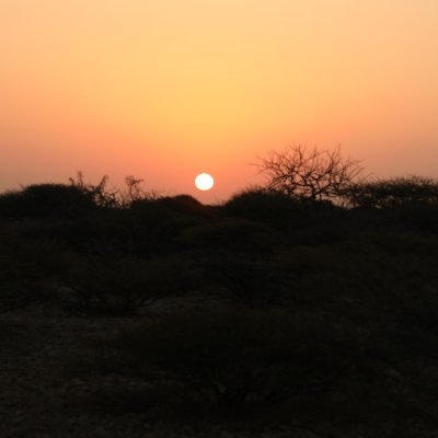 AhmedHared4's profile picture. 