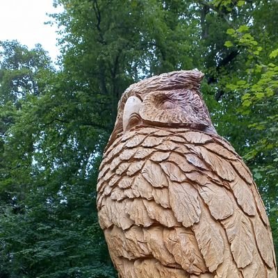 ecodiygirl's profile picture. Climate. Nature. Communities.