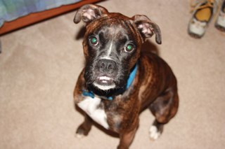 askrug88's profile picture. I have one passion. I'll give you a hint. It isn't Christ