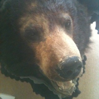 andythechippie's profile picture. 