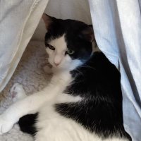 H Edwards 💙 (@hfedwards) 's Twitter Profile