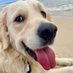 Along Came Polly Rosie And Bubba (@pollyrosiebubba) Twitter profile photo Along Came Polly Rosie And Bubba (@pollyrosiebubba) Twitter profile photo