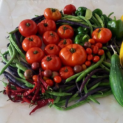 Daddygarden's profile picture. https://t.co/xzblEgfBv0