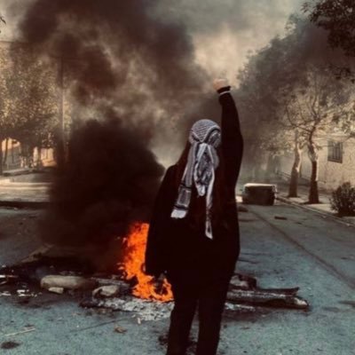 phphphymy's profile picture. fly