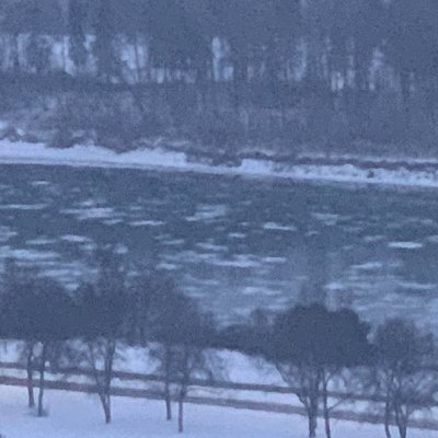 sgt_jelly's profile picture. 