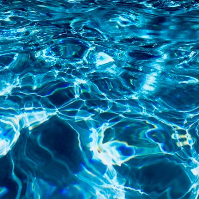 EyeOnSC's profile picture. 