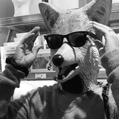 🦊 Gosto de escrever e de tostas mistas bem prensadas.