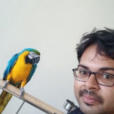 bishalsaha95's profile picture. 