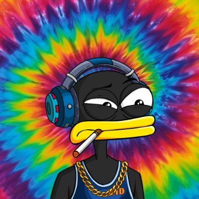 MananKotak8's profile picture. Co-Founder : WHAT THE DUCK Cardano.