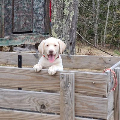 RedGeranium74's profile picture. 