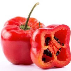 Rocoto777's profile picture. 