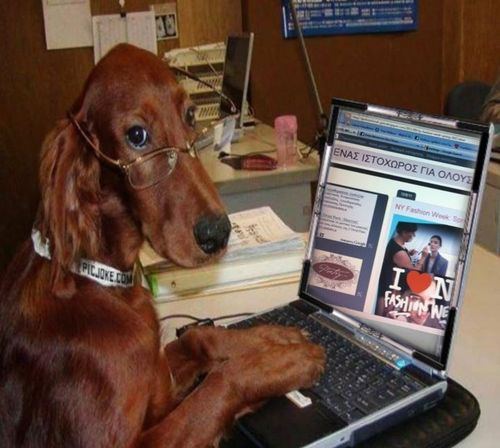 istoxoros's profile picture. e-Magazine by E&J...

An e-magazine with many interesting issues.....

Free access for everyone.....