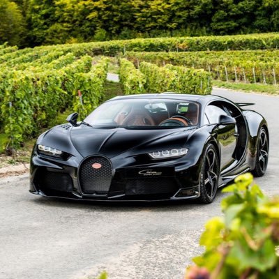 snowychemist's profile picture. 