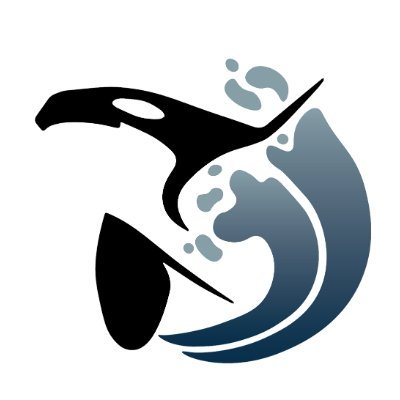 Whale watching tours from Anacortes, WA since 1996. Orca whales seen year-round!