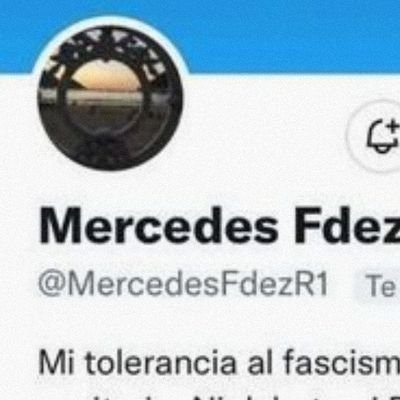 Cuenta secundaria por si me cierran @MercedesFdezR1 (Más vale prevenir que desaparecer)
No acepto fachas. machistas ni otros delincuentes.
Bienvenidos los demás