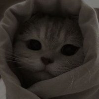 𝐼𝑥𝑒𝑟𝑖𝑠 ≮ (@_qubramr) Twitter profile photo