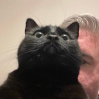 Ste (@ste) 's Twitter Profile