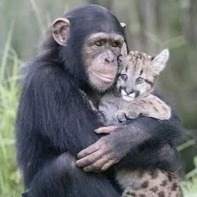 Ennaly15's profile picture. ꧁IP꧂