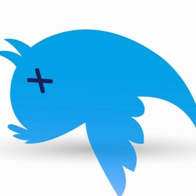 chiaraogan's profile picture. Dormant account thanks to @elonmusk. I am no longer paying attention to this account.